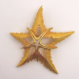 Vintage J.J. Signed Large Gold Toned Textured Domed Star/Starfish Pin/Brooch